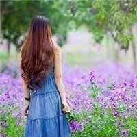 孔雀东南飞